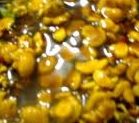 Legumes ao Molho Oriental 500g